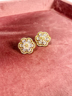 Casual Wear-GOLDEN